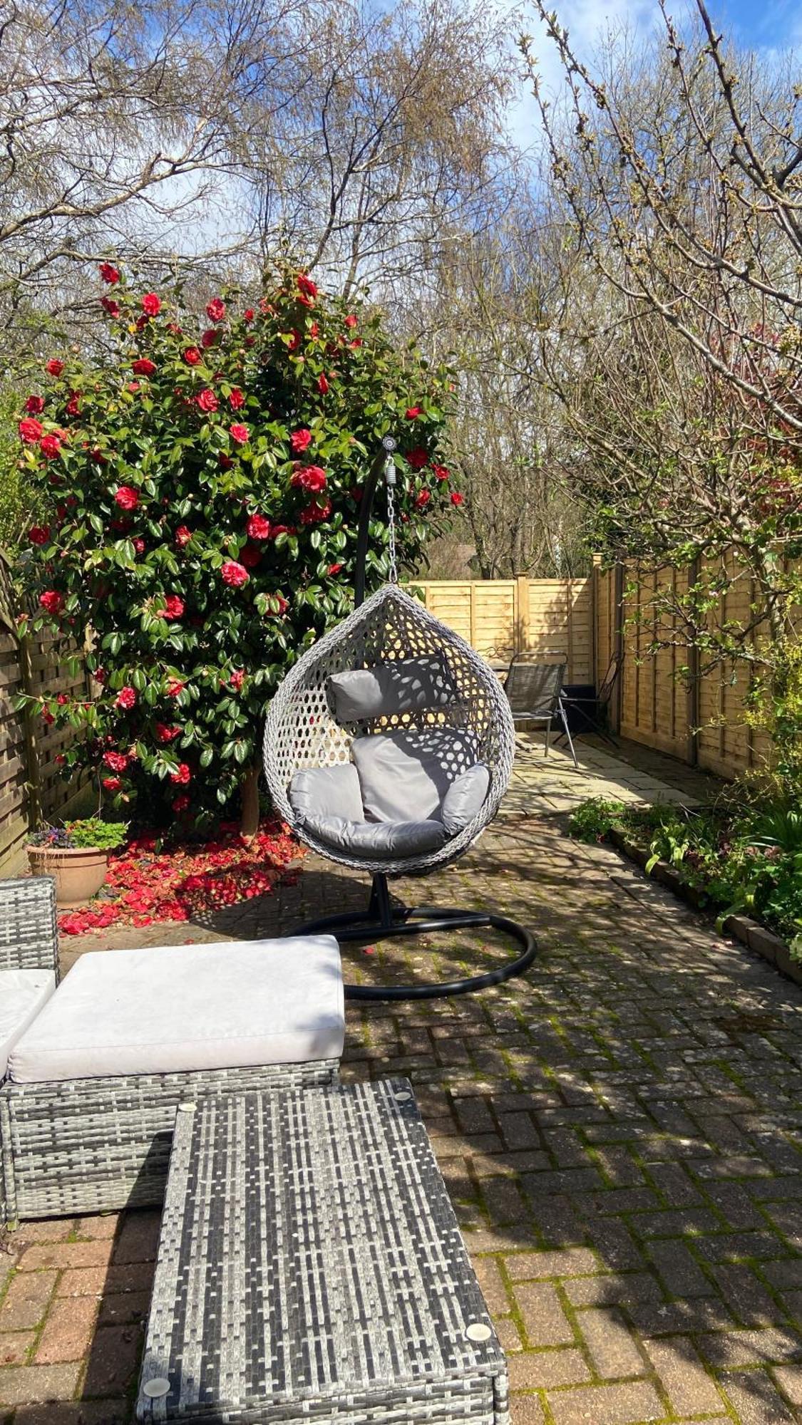 Beautiful Bexhill Cottage With Garden 3 Mins Walk To Beach ภายนอก รูปภาพ